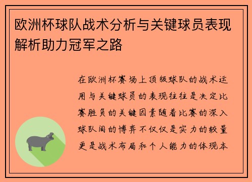 欧洲杯球队战术分析与关键球员表现解析助力冠军之路