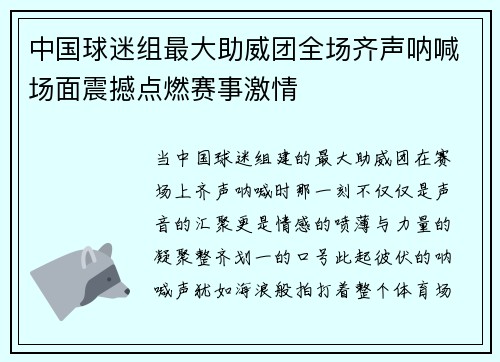 中国球迷组最大助威团全场齐声呐喊场面震撼点燃赛事激情